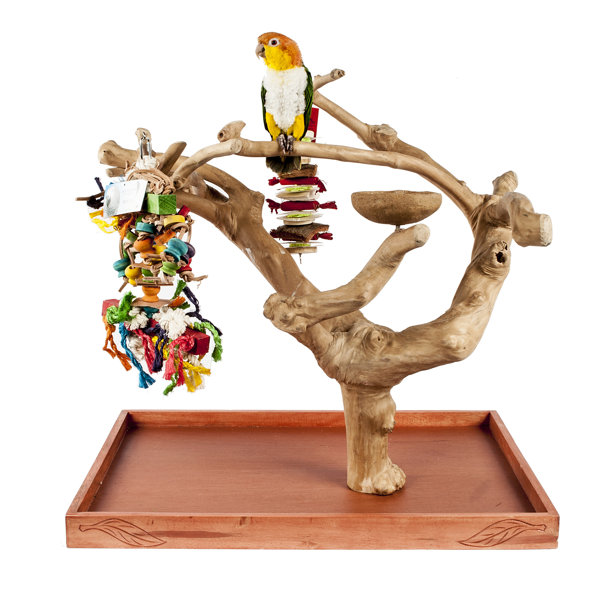 Dowel Bird Perches & Play Stands You'll Love Wayfair.ie